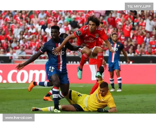 纽卡斯尔接触菲利克斯,马竞标价8000万欧